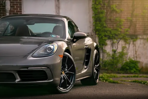 Casino Spin Pug Aplicación Android/iOS